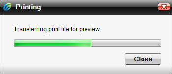 Print Window