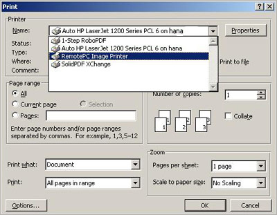 Print Window